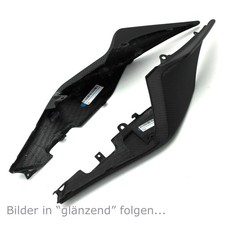 Carbon Heckverkleidung für Aprilia RSV4 2009-2014