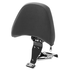 Defekt: Fahrer Sissybar für