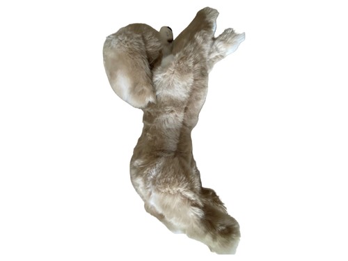 Steiff kuscheltier hund beige - steiff,