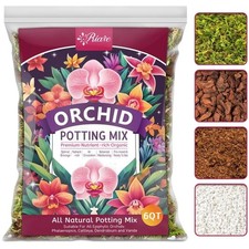 Orchideen hauptböden - orchideen,