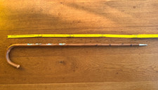 Wanderstock Natur Mit