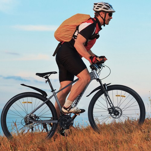 Gänge mtb ebike e - 21-gänge,
