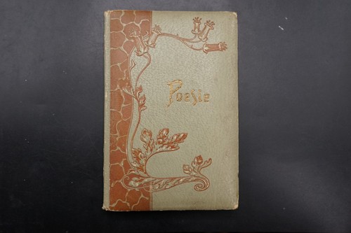 Poesiealbum braunschweig 1903 - braunschweig,