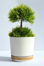 Luxus Blumentopf Übertopf