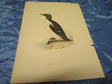 Druck  , Original ,  vor  1850