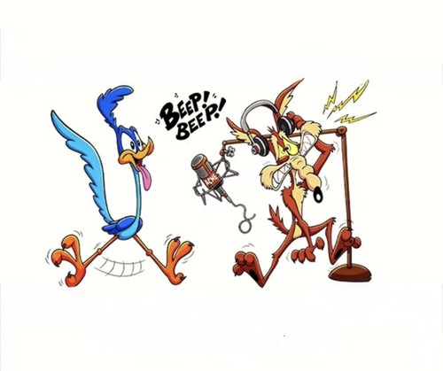 Vinyl roadrunner wile - roadrunner,