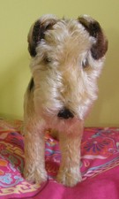 Traumhafter größter Steiff