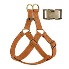 Hundegeschirr & Leine aus