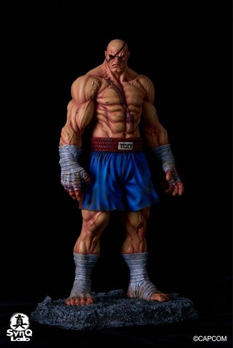 Sagat street fighter - sagat, 1/6