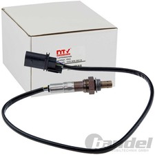 LAMBDASONDE vor KAT REGELSONDE