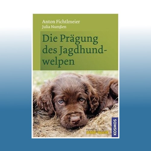 Die prägung des - prägung,