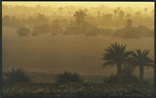 Die Palmerie Fachi Tenere Niger Tuareg Salzkarawane Kunstdruck Photo Poster 456