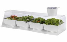 Thekendisplay Speisenschutz