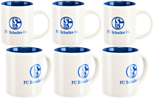 1x FC Schalke 04 Fan