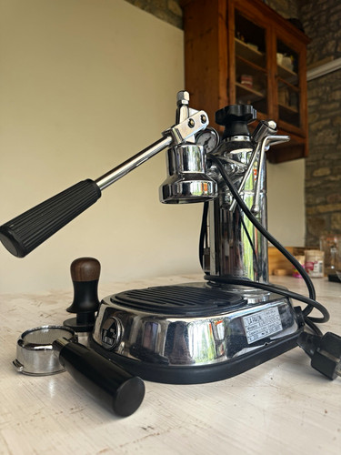 Pavoni europiccola - la,