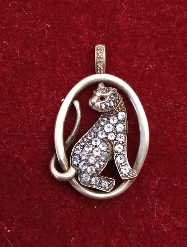 Großer raubkatzen puma - raubkatzen,