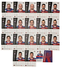 18 x Playercards DEL Saison