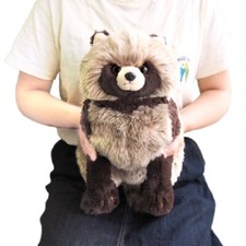 Sonne zitrone knie waschbär - sonne,