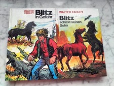Walter Farley: Blitz in Gefahr