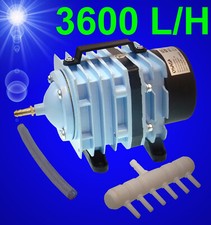 Aquarium Teich ❤️