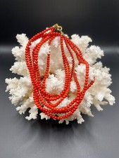 Exquisite dreireihige Rote