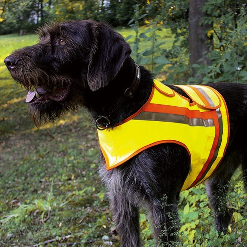 Hunde signalweste - hunde,