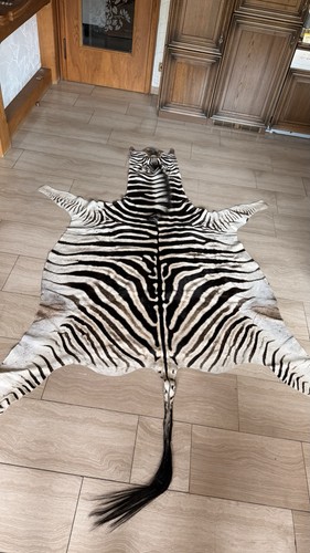 Zebra fell aus südafrika - fell,