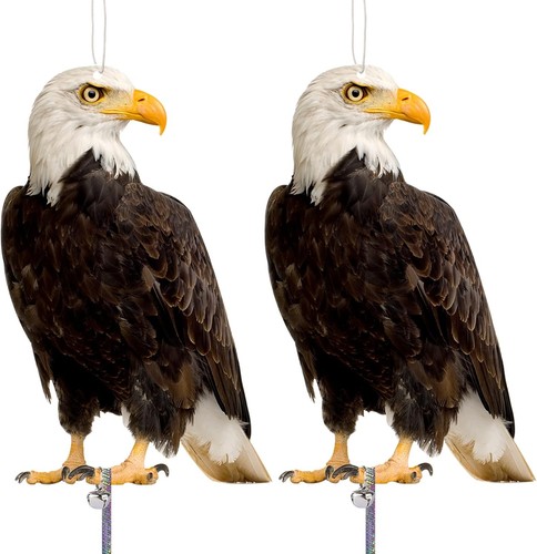 Vogelscheuche raben attrappe - raben,