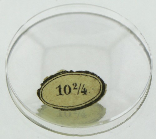Original glas für - glas,
