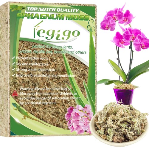 Sphagnum moss orchids - moss,