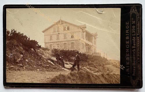 Orig cdv foto - orig,