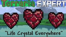 Terraria in Game Items HERZ