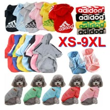 Kleine und Groß Haustier Hund