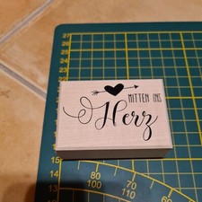 Rayher Holzstempel "MITTEN INS