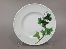 Dibbern Schönwald Herbaticum