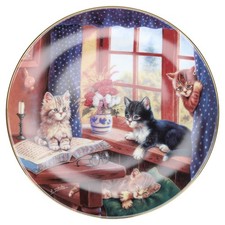 Auf der Fensterbank Bradex -