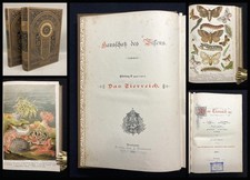 Heck, Martens Hausschatz des