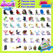 Virtual Pet - Egg ? MFR / NFR