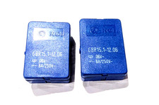 RGI GBR 15.1-12.06 6V 6A 250V-
