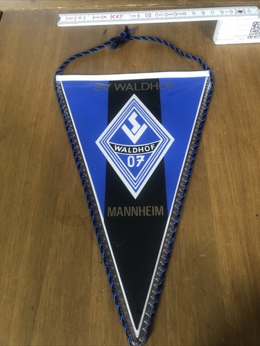 Waldhof mannheim - sv,