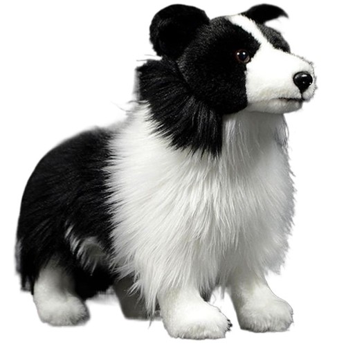 26cm border collie - border,
