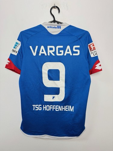 Tsg 1899 hoffenheim 2015 2016 - tsg, 2015/2016