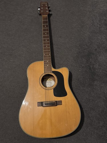 Washburn akustikgitarre - washburn,