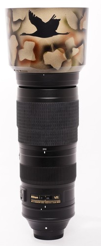 Nikon nikkor 200 500mm - af-s, 200-500mm