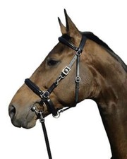 Euroriding Trense Halfter
