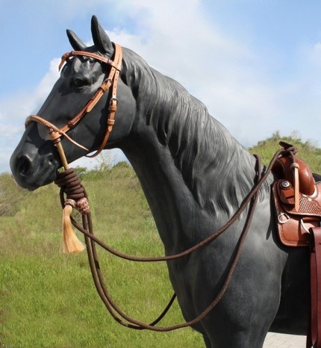 Bosal mit mecate und - mecate,