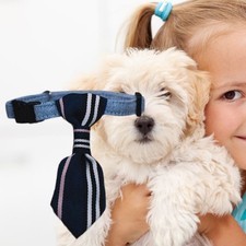  Hunde Zubehör Haustierzubehör Krawatte Für Katzen Nettes Katzenzubehör