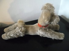 Pudel Snobby mit Halsband von