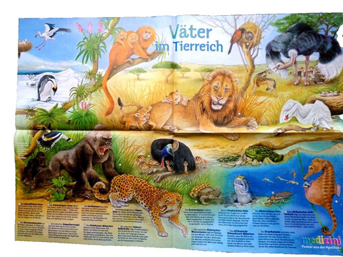 59x41 poster väter - poster, im