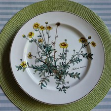 V&B BOTANICA  Speiseteller